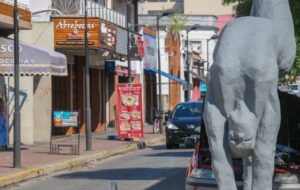 EL-PASEO-DE-LAS-ARTES-DE-BERAZATEGUI-SERA-TOTALMENTE-RENOVADO-1_large