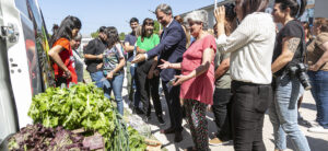 636bad0684827_mercadoc