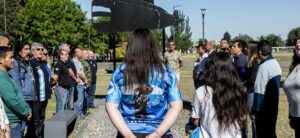 63739bba4a222_ara1nov