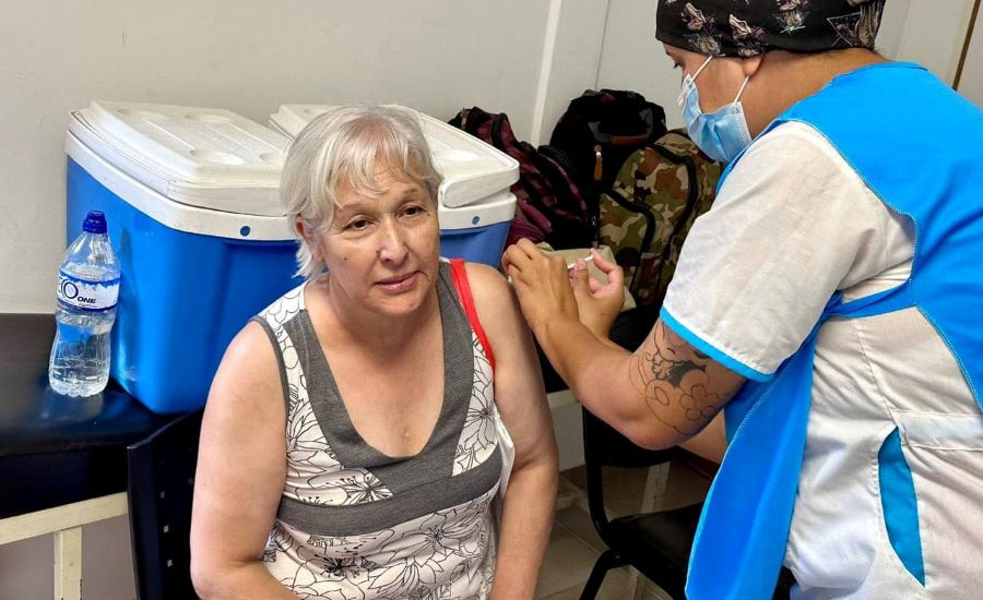 660d8707405cd_vacuna-1